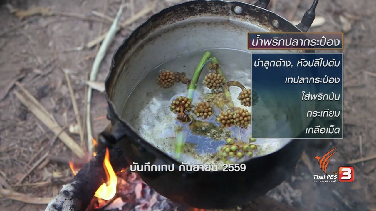 ข่าวค่ำ มิติใหม่ทั่วไทย - ตะลุยทั่วไทย : ขอป่าปกาเกอะญอ