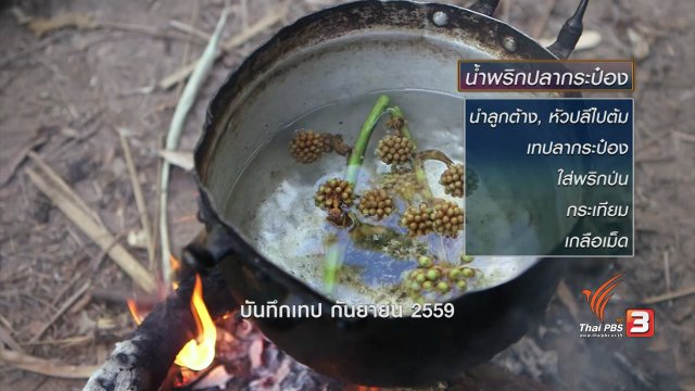 ตะลุยทั่วไทย : ขอป่าปกาเกอะญอ