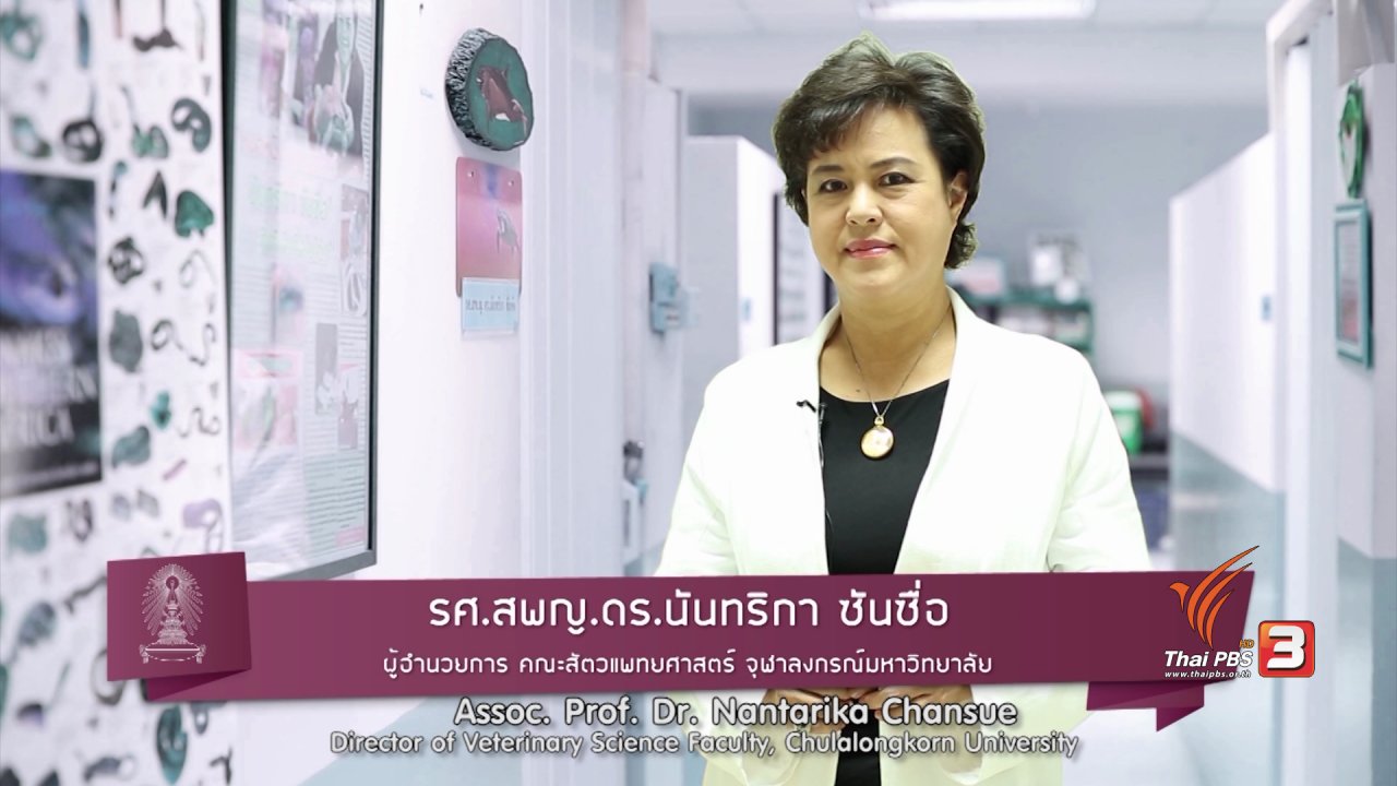 ข่าวค่ำ มิติใหม่ทั่วไทย - soเชี่ยว FAKE or FACT : อาหารพิสดารจากปลา ปลามีความเจ็บปวดจริงหรือไม่