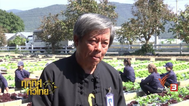 ประเด็นข่าว ( 31 ม.ค. 60)