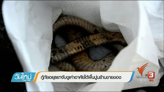 ประเด็นข่าว (2 ก.พ. 60)