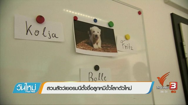 สวนสัตว์เยอรมนีตั้งชื่อลูกหมีขั้วโลกตัวใหม่