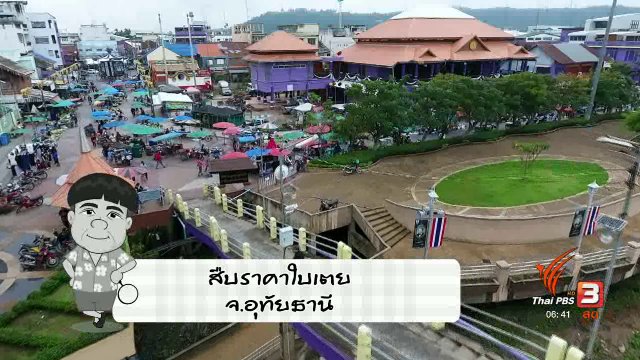 สายสืบเจาะตลาด : สืบราคาใบเตย จ.อุทัยธานี