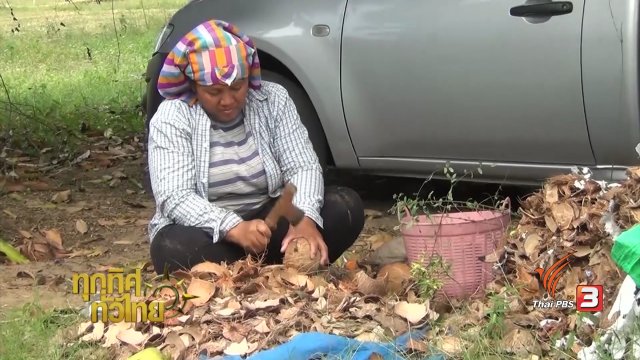 ประเด็นข่าว (3 ก.พ. 60)