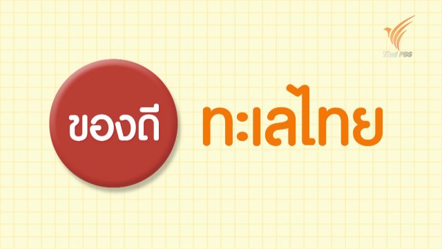 ของดีทะเลไทย