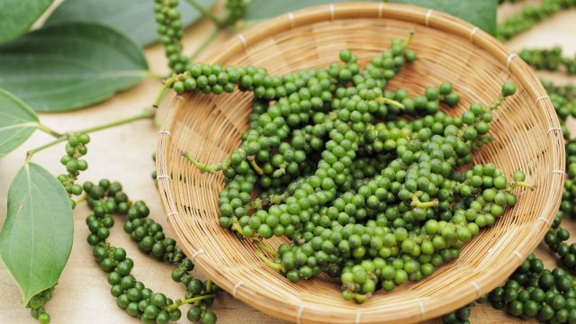 พริกไทย