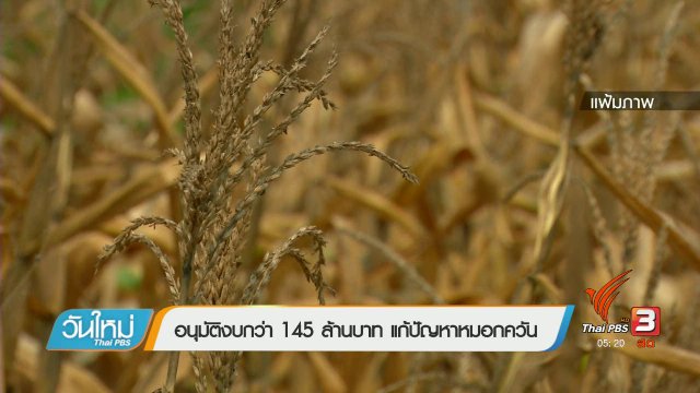 ประเด็นข่าว (3 ก.พ. 60)