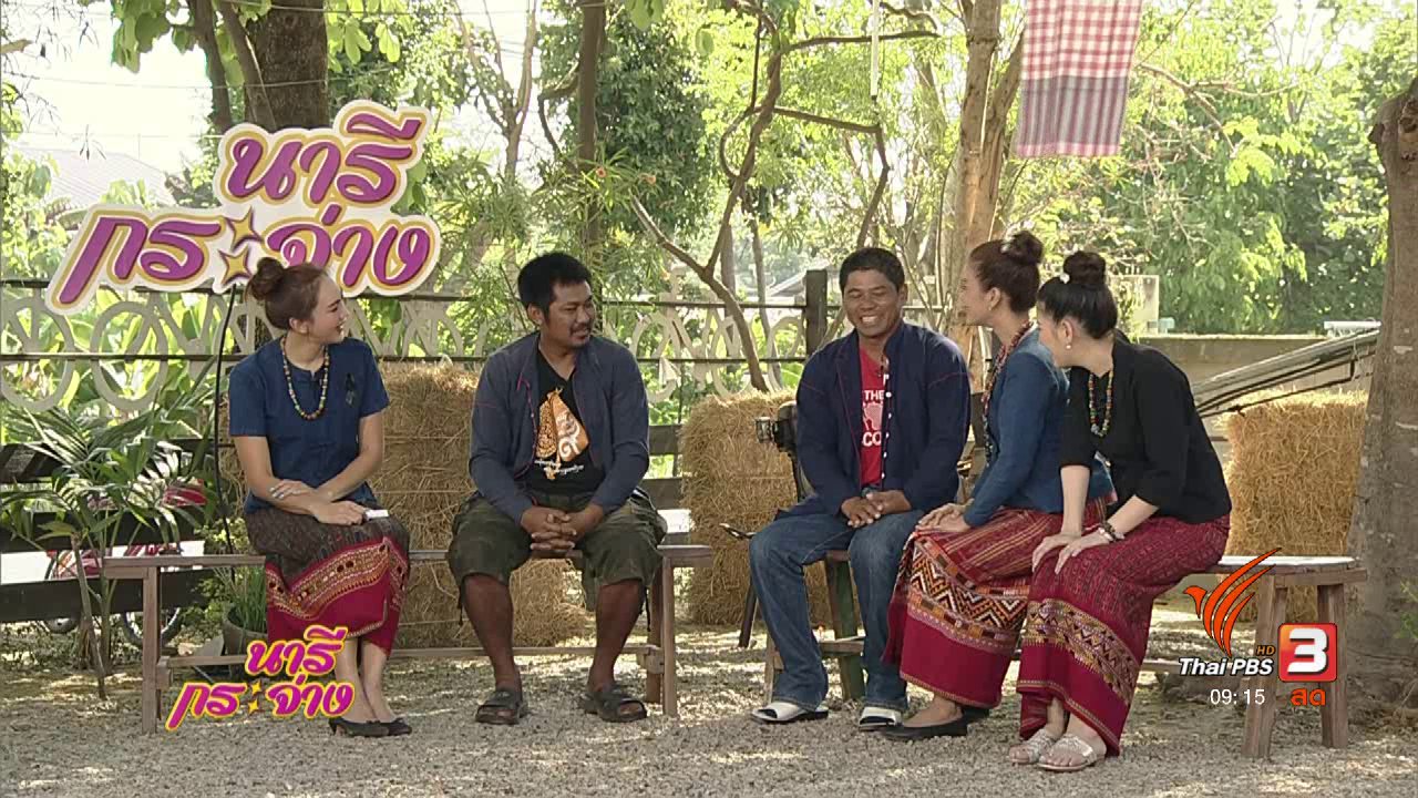 นารีกระจ่าง - "ศึกควายเหล็ก" จากกิจกรรมพื้นบ้านเกษตรกร สู่สนามแข่งขันระดับประเทศ