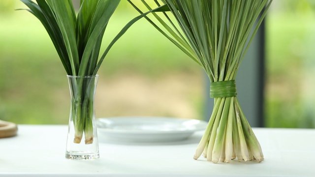 น้ำตะไคร้ใบเตย ชื่นใจได้สุขภาพ