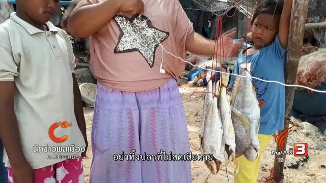 นักข่าวพลเมือง : ปลาฝังดินกินได้ ที่เกาะสมุย