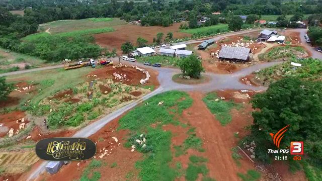 นักธุรกิจกับศาสตร์พระราชา