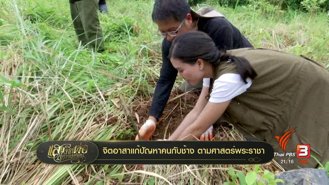 แสงจากพ่อ น้อมศิระกราน เสด็จสู่สวรรคาลัย - จิตอาสาแก้ปัญหาคนกับช้าง ตามศาสตร์พระราชา