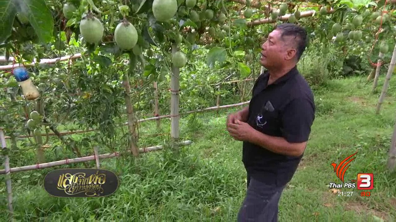 แสงจากพ่อ น้อมศิระกราน เสด็จสู่สวรรคาลัย - โครงการพระราชดำริเปลี่ยนชีวิต