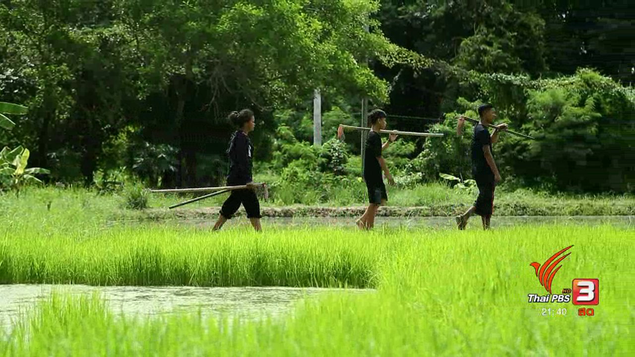 แสงจากพ่อ น้อมศิระกราน เสด็จสู่สวรรคาลัย - ต้นกล้าแห่งความพอเพียง