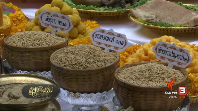 พิธีบวงสรวงภูมิสถาปัตยกรรมแปลงนาข้าวประกอบพระเมรุมาศ