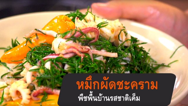 หมึกผัดชะคราม พืชพื้นบ้านรสชาติเค็ม
