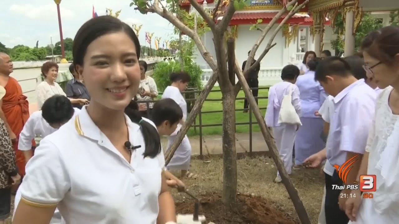 แสงจากพ่อ น้อมศิระกราน เสด็จสู่สวรรคาลัย - กิจกรรมปลูกต้นไม้วัดนายโรง
