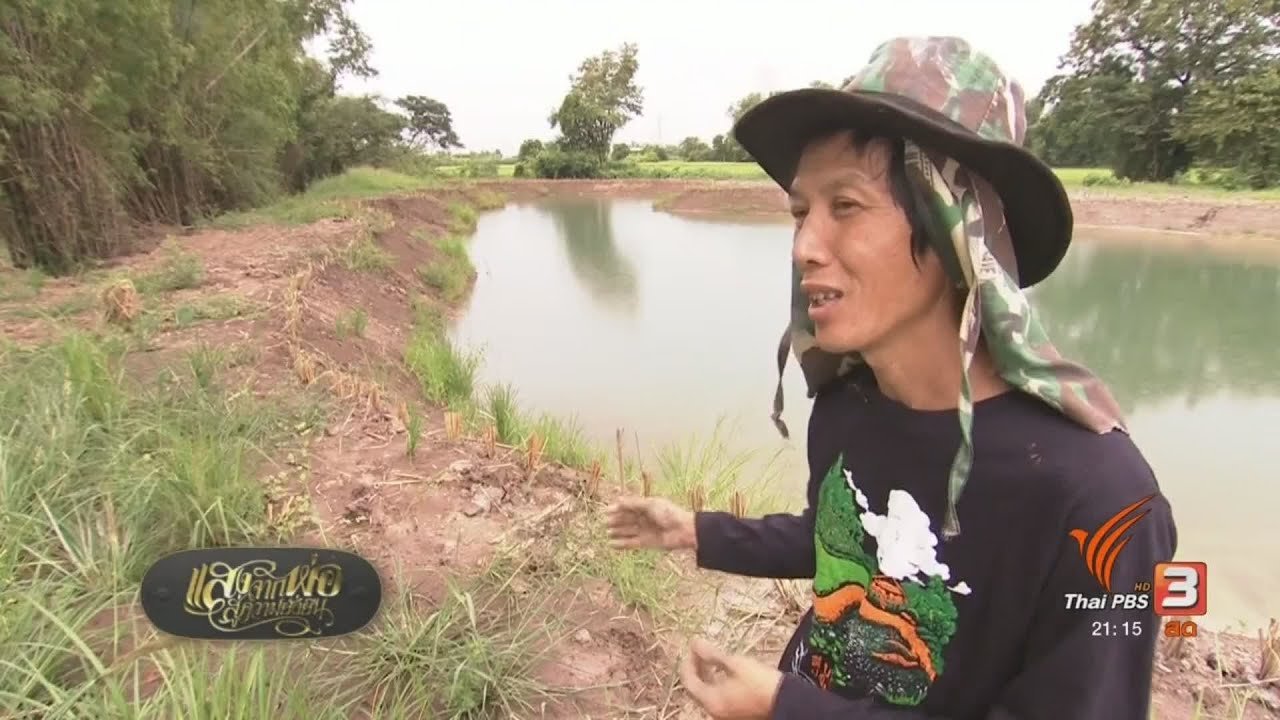 แสงจากพ่อ น้อมศิระกราน เสด็จสู่สวรรคาลัย - เรียนกับแปลงถือแรงสามัคคี