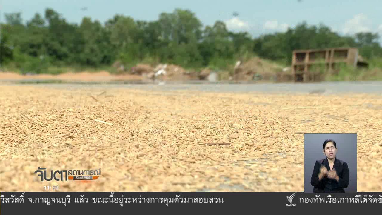 จับตาสถานการณ์ - ผลกระทบชาวนาจากนโยบายราคาข้าว
