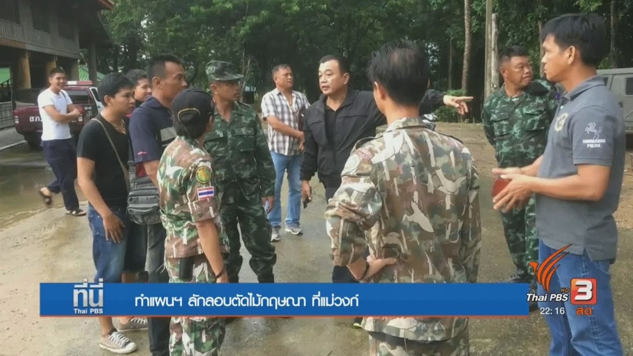 ที่นี่ Thai PBS - คดีผู้ต้องหาชาวเวียดนามลักลอบตัดไม้กฤษณา