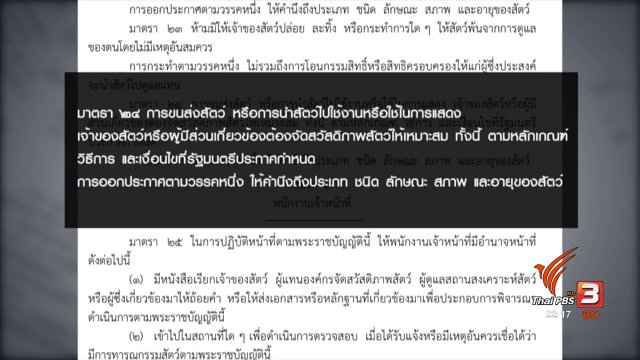 เร่งหามาตรการกฎหมาย ป้องกัน "ฆ่าหมา หวังเงินประกัน"