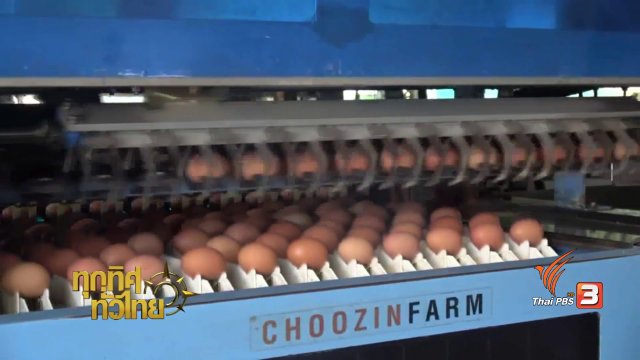 วิถีทั่วไทย : การบริหารจัดการของเสียในฟาร์มไก่