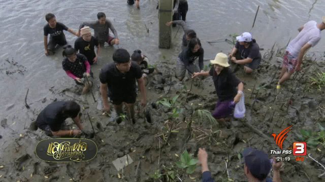 กิจกรรมสร้างแหล่งอาหารลุ่มน้ำบางปะกง