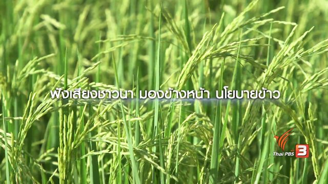 ฟังเสียงสะท้อนชาวนาถ้าไม่มี “รับจำนำข้าว”