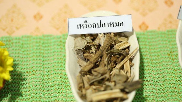 บำบัดอาการภูมิแพ้ด้วยแพทย์แผนไทย