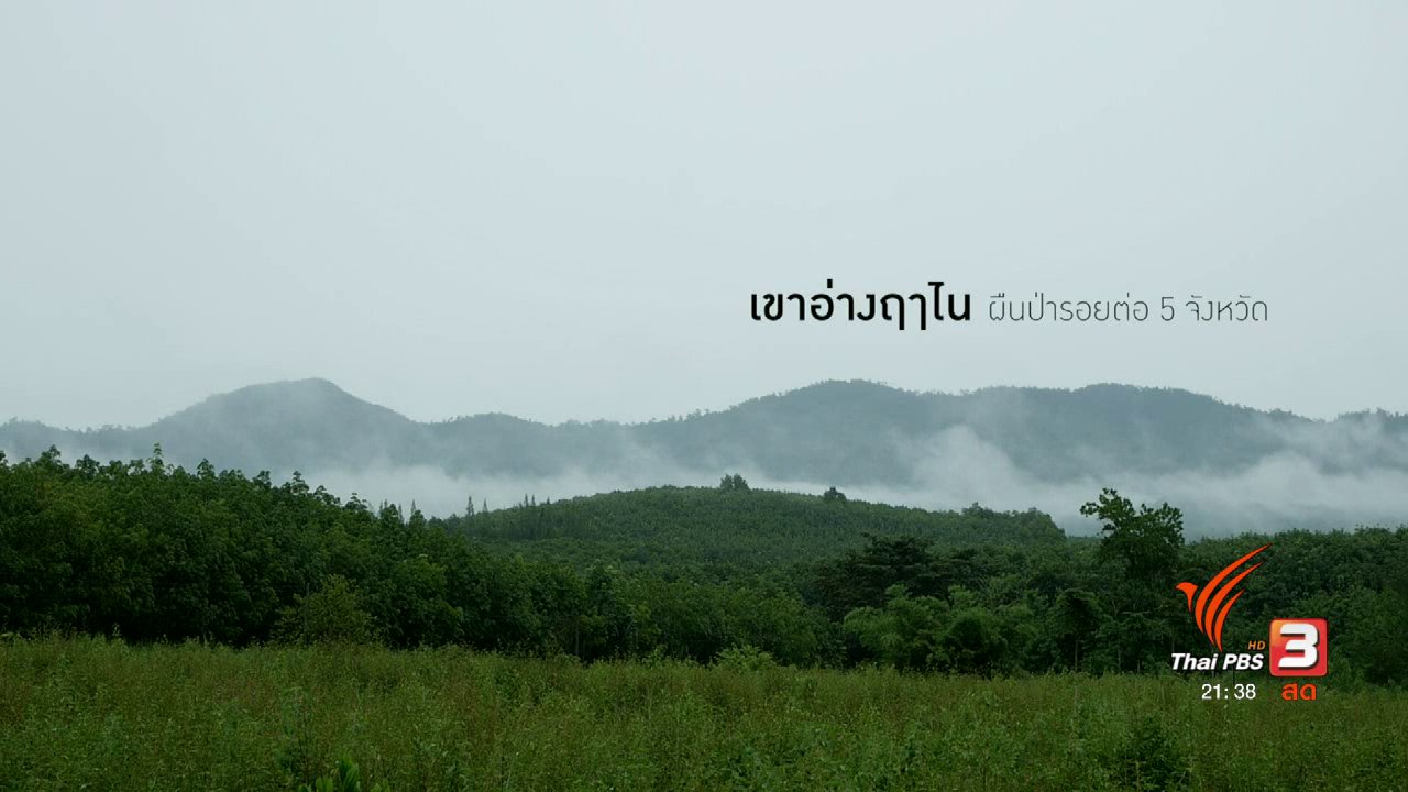 แสงจากพ่อ น้อมศิระกราน เสด็จสู่สวรรคาลัย - การจัดการป่าตามศาสตร์พระราชา