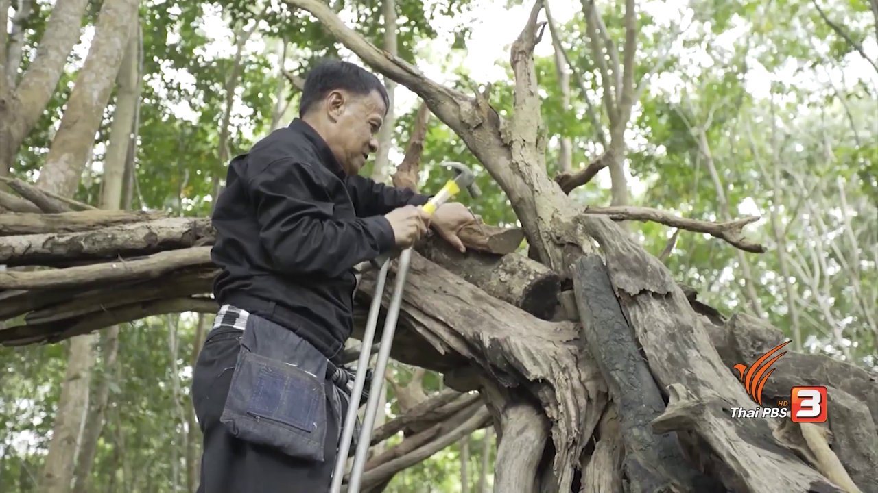 ลุยไม่รู้โรย สูงวัยดี๊ดี - ลุงจรูญ ผู้ก่อตั้งวังเทพทาโร