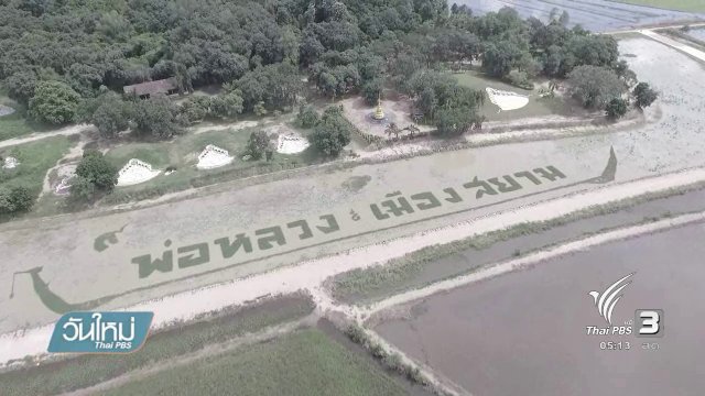 ชาวบ้านปลูกผักแปรอักษรแสดงความจงรักภักดี