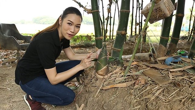 เกษตรปลอดสารพิษ ชุมชนเกาะเกิด