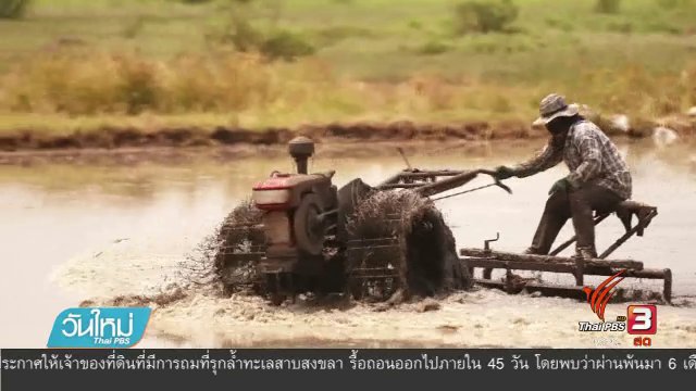 ประเด็นข่าว (5 มิ.ย. 60)