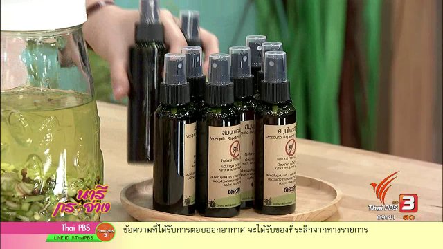 สเปรย์สมุนไพรไล่ยุง ฉบับภูมิปัญญาไทย