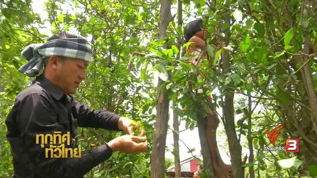 ประเด็นข่าว (23 มิ.ย. 60)