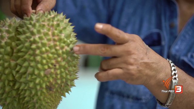 นักอนุรักษ์ทุเรียนโบราณ