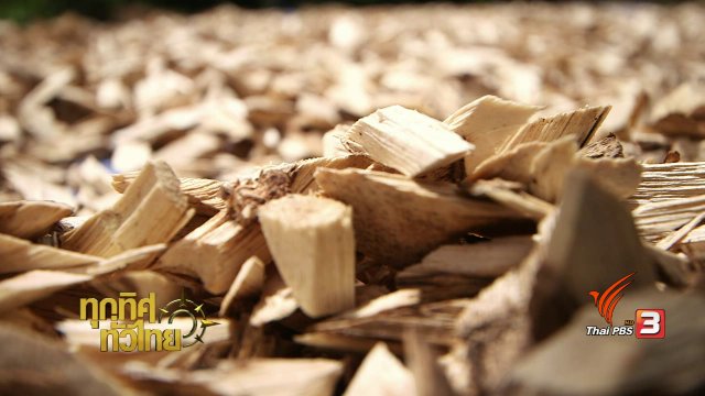 อาชีพทั่วไทย : น้ำมันหอมระเหยไม้กฤษณา