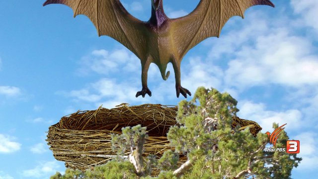 รังอะไรบนต้นไม้