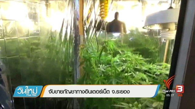 จับขายกัญชาทางอินเตอร์เน็ต จ.ระยอง