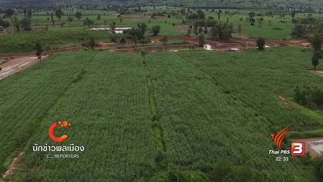 นักข่าวพลเมือง : "เกษตรอินทรีย์ส่งเสริมสุขภาพ" บ้านเทพคีรี จ.หนองบัวลำภู