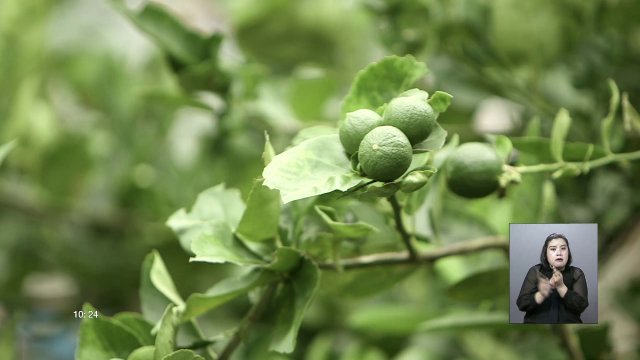 ต้นแบบการพัฒนาจากภูผาถึงมหานที