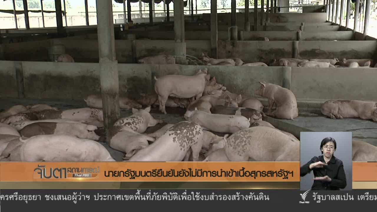 จับตาสถานการณ์ - นายกรัฐมนตรียืนยันยังไม่มีการนำเข้าเนื้อสุกรสหรัฐฯ