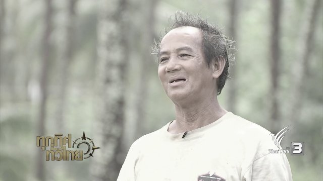 จุฑามาศ พาตะลุย : น้ำมันมะพร้าว