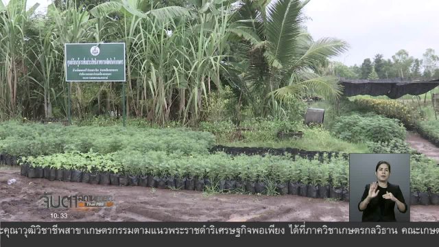 ตามรอยพ่อสู่การบริหารเศรษฐกิจยั่งยืน