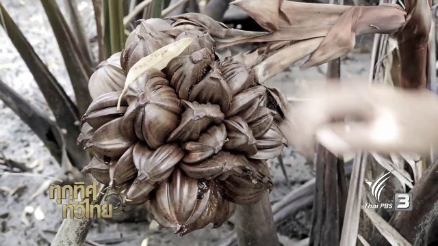 ชุมชนทั่วไทย : ลูกจากลอยแก้ว