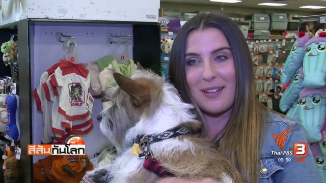 ชุดฮาโลวีนสำหรับสุนัข