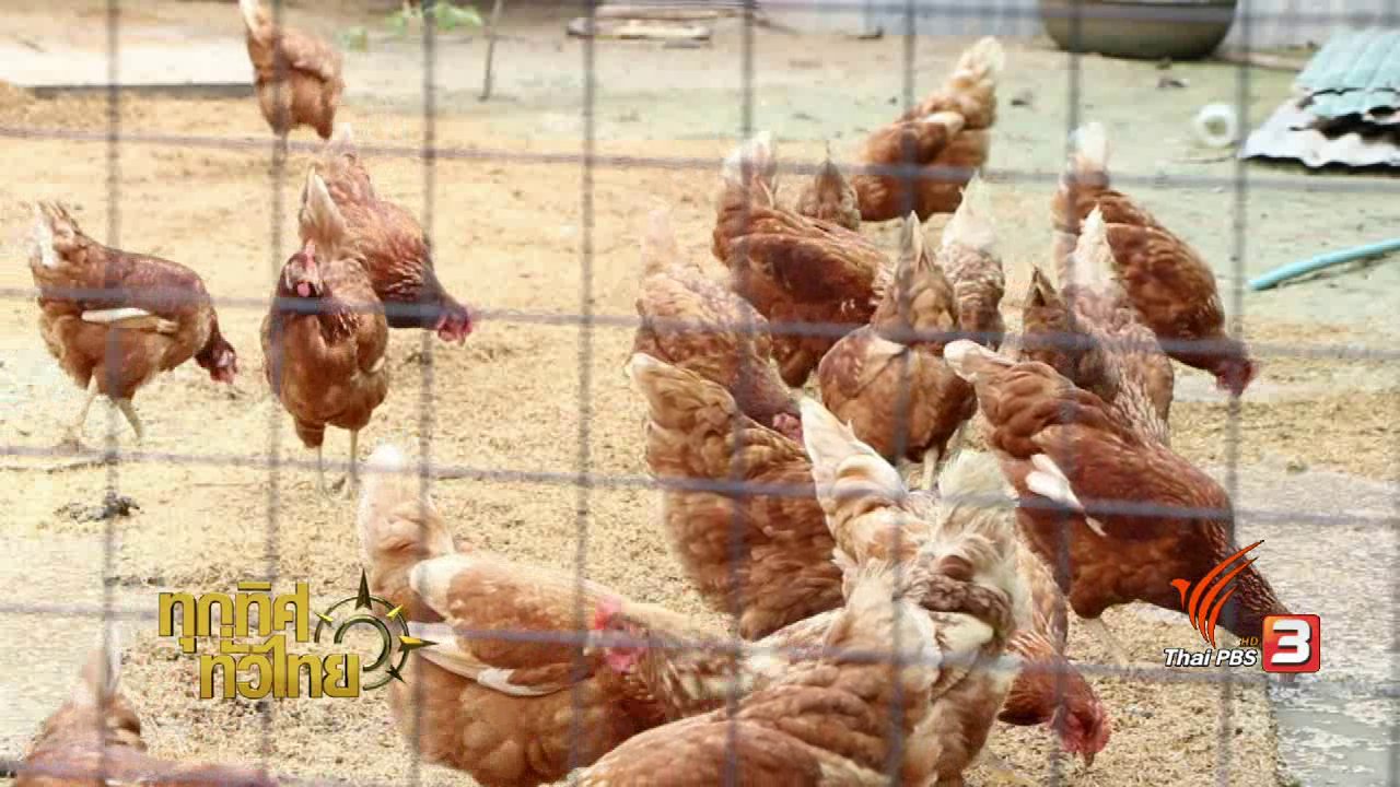 ทุกทิศทั่วไทย - ชุมชนทั่วไทย : บริหารจัดการพื้นที่ด้วยเกษตรทฤษฎีใหม่