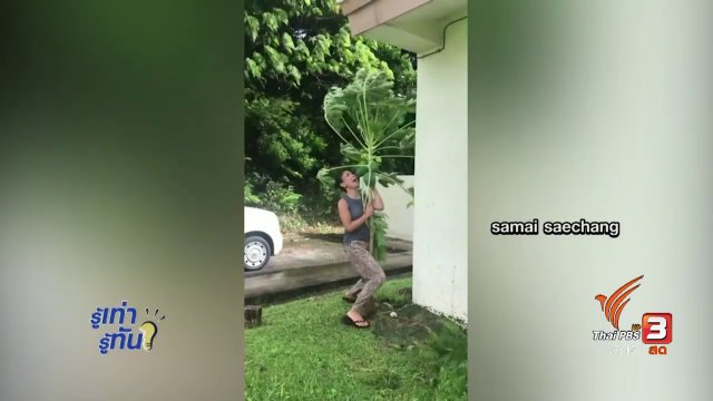 รู้ทันโซเชียล (1 พ.ย. 60)