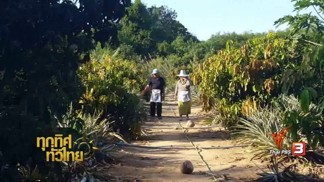 ชุมชนทั่วไทย : เกษตรกร อ.กุยบุรี นำศาสตร์พระราชา มาปรับใช้